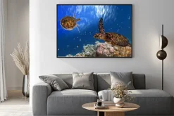 Plakat: Malediwach żółw morski pływający