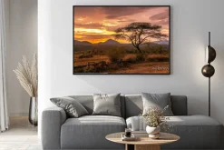 Plakat: Malownicza sawanna podczas zachodu słońca