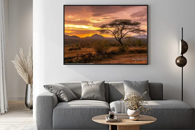 Plakat: Malownicza sawanna podczas zachodu słońca