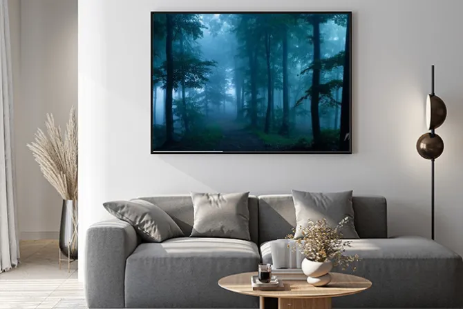 Plakat: Mglisty poranek w mrocznym lesie