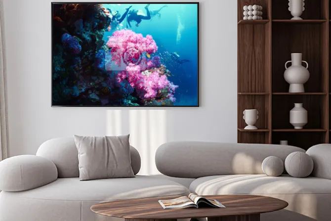 Plakat: Miękki koral z nurka