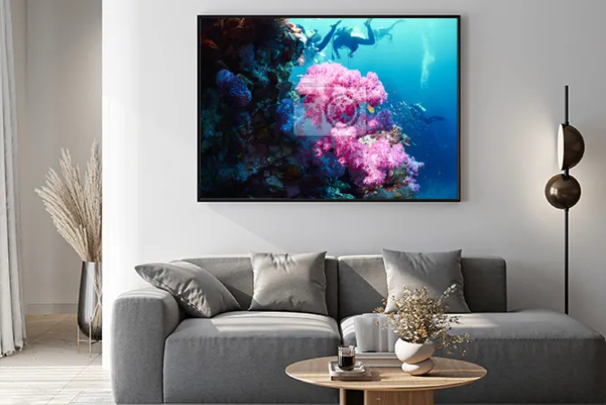 Plakat: Miękki koral z nurka