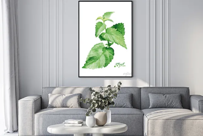 Plakat: Mięty oddziału akwarela