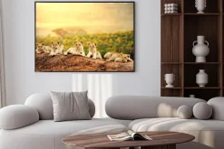 Plakat: Młode lwy na sawannie