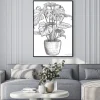 Plakat: Monstera illustration, drawing, engraving, ink, line art, vector