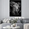 Plakat: Mountain sheep. artistic, monochrome, black and white, hand-drawn