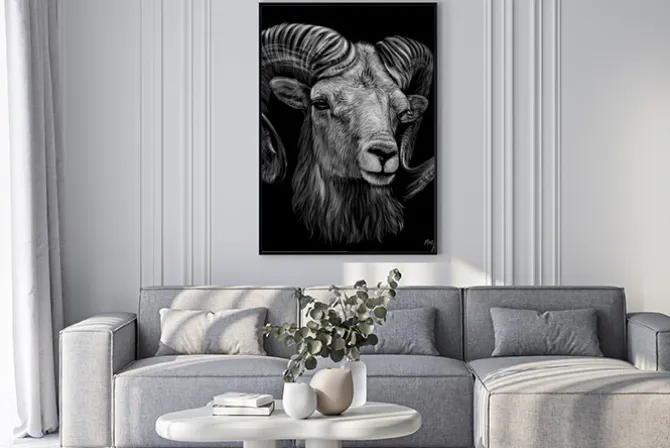 Plakat: Mountain sheep. artistic, monochrome, black and white, hand-drawn