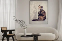 Plakat: Multi-kolorowe kota w pobliżu ściany z cegły światła