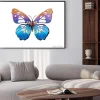Plakat: Naklejki ścienne butterfly