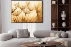 Plakat: Nasiona mniszka lekarskiego z kroplami wody