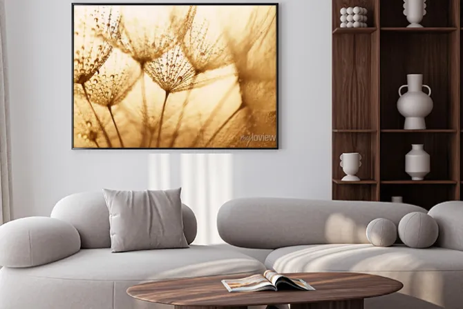 Plakat: Nasiona mniszka lekarskiego z kroplami wody