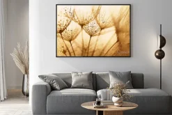 Plakat: Nasiona mniszka lekarskiego z kroplami wody