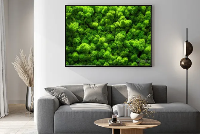 Plakat: Naturalna zieleń mchu 3d