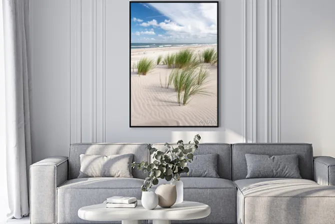 Plakat: Naturalny krajobraz plaży z trawą nad bałtykiem