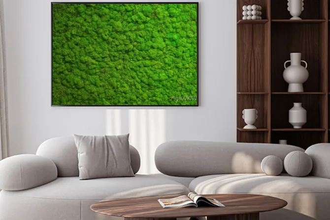 Plakat: Naturalny zielony mech leśny