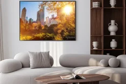 Plakat: New york central park