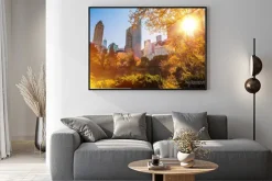 Plakat: New york central park