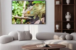 Plakat: Oddział zielona chameleon lizard on