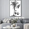 Plakat: Oil palm vintage illustration.
