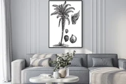Plakat: Oil palm vintage illustration.