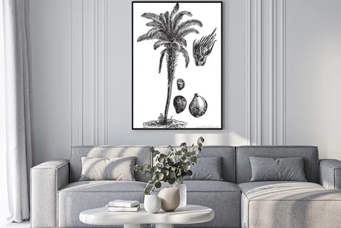 Plakat: Oil palm vintage illustration.