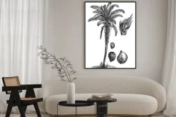 Plakat: Oil palm vintage illustration.