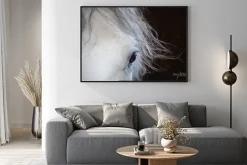 Plakat: Oko białego konia z bliska