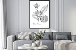 Plakat: Orange drzewa (citrus sinensis), botaniczne, rocznik wina