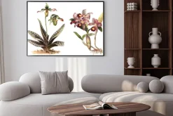 Plakat: Orchid - lewo paphiopedilum venustum i prawo cattleya skinneri