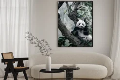 Plakat: Panda na drzewie