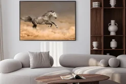 Plakat: Piękny koń galop bieg w pyle