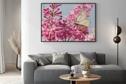 Plakat: Piękny motyl na kwiatach bzu