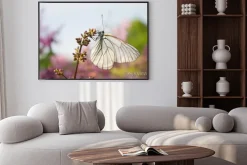 Plakat: Piękny motyl na kwiatach bzu