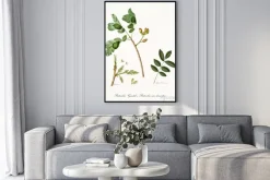 Plakat: Pistacja z liśćmi i innymi elementami botanicznymi. cały skład