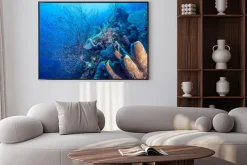 Plakat: Podwodne rafy koralowej