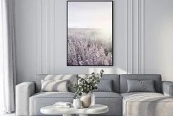 Plakat: Pole lawendy o wschodzie słońca krajobraz