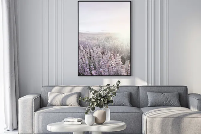 Plakat: Pole lawendy o wschodzie słońca krajobraz