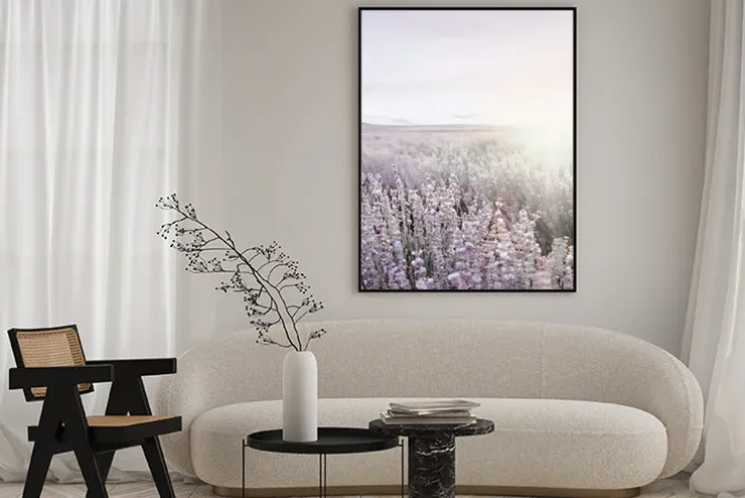 Plakat: Pole lawendy o wschodzie słońca krajobraz