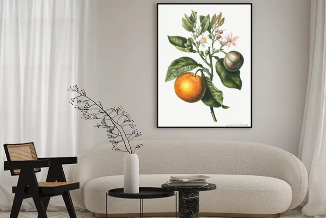 Plakat: Pomarańcza z listkami i kwiatami