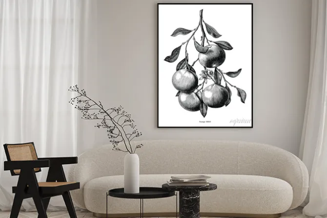 Plakat: Pomarańczowy sztuka ilustracji clipart na białym tle