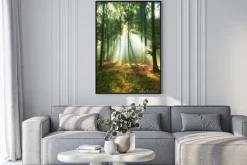 Plakat: Poranne promienie słońca w leśnej zieleni