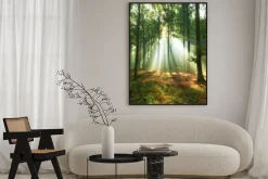 Plakat: Poranne promienie słońca w leśnej zieleni