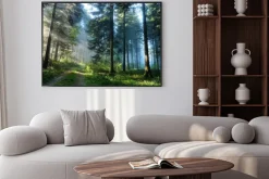 Plakat: Poranny mglisty las w zielonych barwach natury