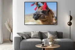 Plakat: Portret alpaca