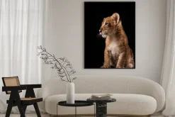 Plakat: Portret małego lwa na czarnym tle