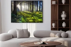 Plakat: Promienie słońca o świcie w lesie