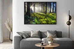 Plakat: Promienie słońca o świcie w lesie