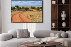 Plakat: Pustynia kalahari, namibia