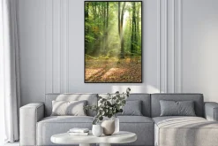 Plakat: Rano w lesie