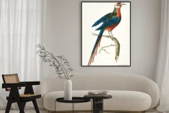 Plakat: Ręcznie rysowane z kukułką zakrzywione krzywej